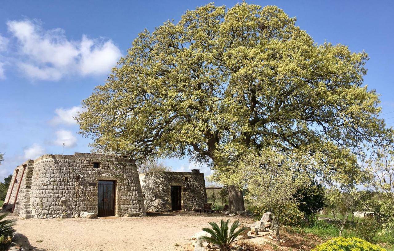 Agriturismo Le Fornelle تريكاس المظهر الخارجي الصورة