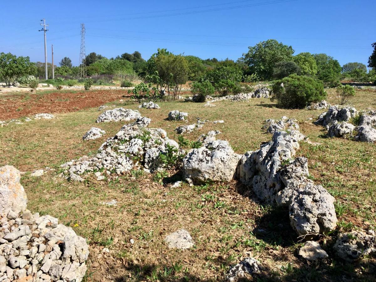 Agriturismo Le Fornelle تريكاس المظهر الخارجي الصورة
